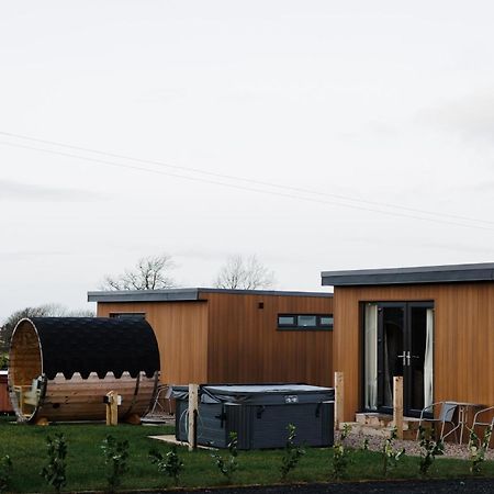Slemish Hideaway - Funky Pheasant Villa Broughshane Buitenkant foto